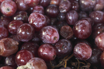 Background of red grapes that have begun to rot. Some of the grapes appear soft, broken, and have turned brown, indicating the process of rotting.