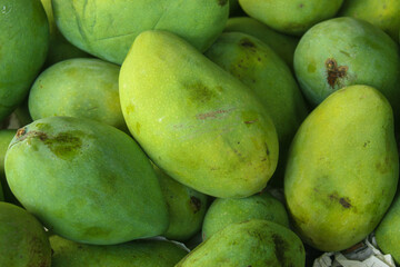 pile of fresh green mangoes with bright green skin