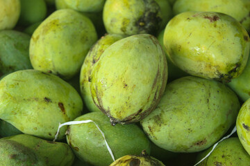 pile of fresh green mangoes with bright green skin