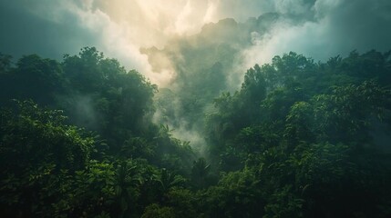 Fototapeta premium Misty Tropical Forest View Ethereal Jungle Landscape with Lush Greenery Fog Shrouded Trees in Rainforest Setting Dense Foliage in a Tranquil Natural Environment Overlooking Forest