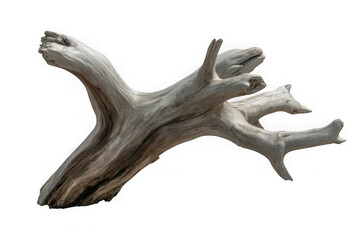 dark dead driftwood piece isolated on white or transparent 