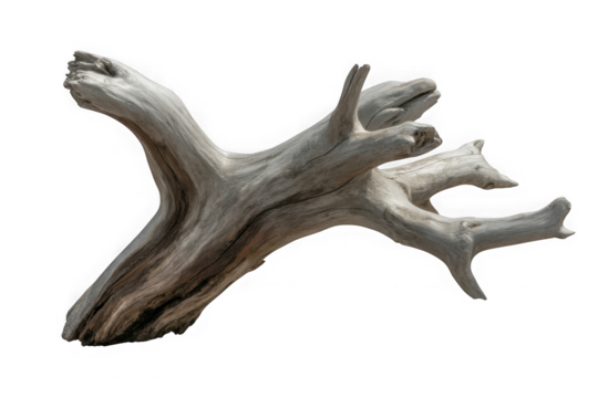 dark dead driftwood piece isolated on white or transparent  - Powered by Adobe