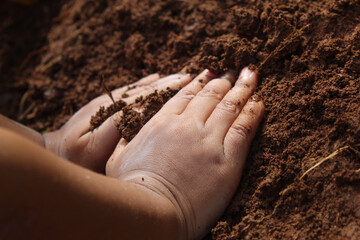 small child's hands playing in the mud