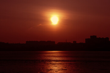 Sunset through the branches of trees and grasses. Sunset city