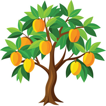 Mango tree vector illustration 2
