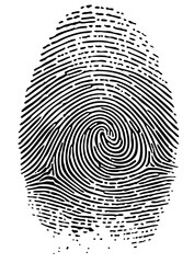 Fingerprint identification in forensic science