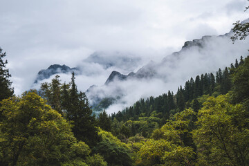 Beautiful view mountain with mist on the sky, snow mountain, peak of mountain and some clouds at Changpinggou Trail, Four Girl Mountain, Sichuan of China. color effect, low key and soft focus.