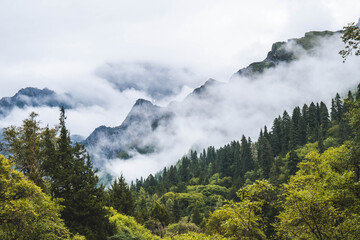 Beautiful view mountain with mist on the sky, snow mountain, peak of mountain and some clouds at Changpinggou Trail, Four Girl Mountain, Sichuan of China. color effect, low key and soft focus.
