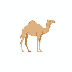 Majestic Camel Illustration A Detailed Look at Desert Wildlife