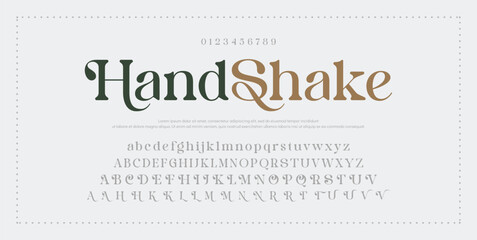 Elegant Font Uppercase Lowercase And Number. Classic Lettering Minimal Fashion Designs. Typography modern serif fonts regular decorative vintage concept. vector illustration