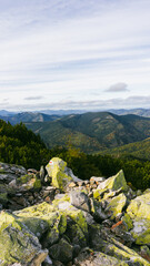  silhouettes of peaks, beautiful autumn mountain landscape, golden autumn, yellow trees and fog, layers of slopes