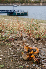Wassernotstand am Rursee in Woffelsbach