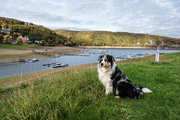 Wassernotstand am Rursee in Woffelsbach