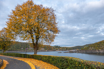 Wassernotstand am Rursee in Woffelsbach