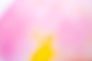 Gentle Yellow Pink Gradient Texture