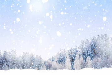Christmas card. Snowfall in the winter forest. Landscape with snow-covered trees.