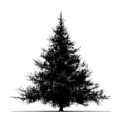 black silhouette of christmas pine tree