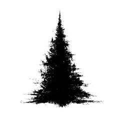 black silhouette pine tree shape isolated png transparent backgrounf