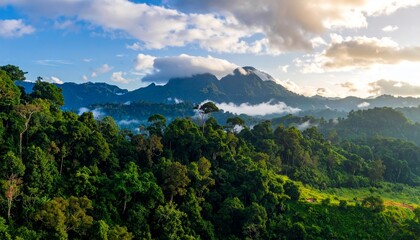 Obraz premium banner background of tropical forest landscape scene