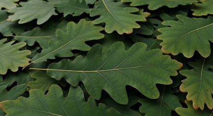 Close Up Fresh Oak Leaf Pile Natural Background Texture