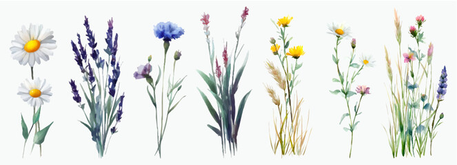 Wildflower bouquet watercolor illustration set, meadow botanical elements with daisies, lavender, cornflowers, and grass, creating a natural, vibrant, decorative collection