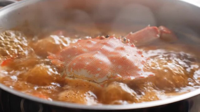 Boiling crab in rich tomato seafood stew with bubbling steam closeup.