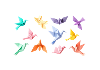 colorful origami bird animals, folded paper art, minimal shadow,