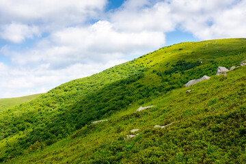 Obraz premium mountain landscape with beautiful view on alps in summer. green alpine meadow under blue sky on a sunny day. idyllic scenery in carpathian mountains with grassy rolling hills on morning fresh