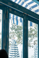 Window glass, looking out the window, seeing a big tree