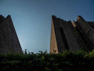 A large square building, and a dense wall of trees in front of the building