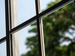 Window glass, looking out the window, seeing a big tree