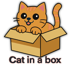  Cat in a box waiting food.