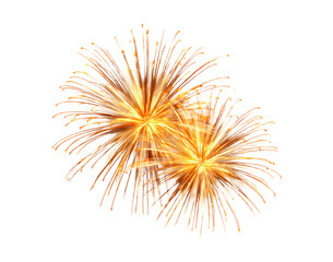 Vibrant fireworks burst on transparent background