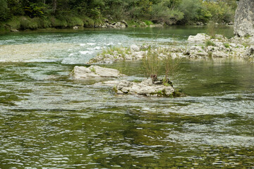Mountain River Flow, Scenic Alpine Landscape.