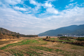 vineyard in the mountains