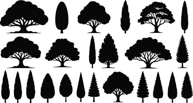Tree, silhouette, forest, botanical, nature, deciduous, coniferous, black, shape, design, landscape, seasonal, minimal, outdoor, illustration, variety, species, branching, foliage, morphology