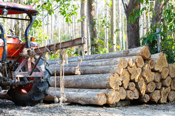 Concept of forestry management, wood production, and sustainability awareness, Red tractor beside stacked numbered logs in a forest, representing logging industry, deforestation, and timber transport