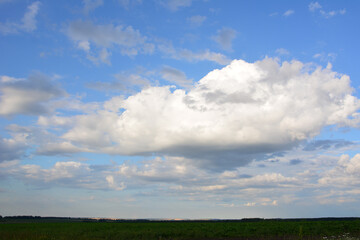 Vast Blue Sky with Fluffy White Clouds Over Green Field