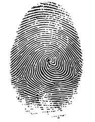 Fingerprint illustrates identity in forensic science