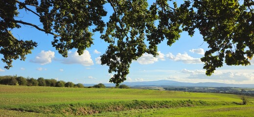 Landschaft beim Bismarckturm bei Osterwieck im Herbst, Harz, Sachsen-Anhalt