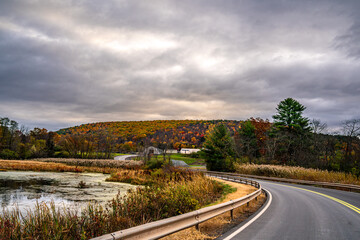 Autumn landscape with Lake, Trees and Road