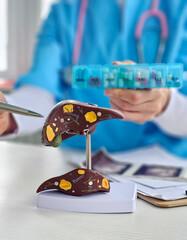 Model of a human liver being used for medical education in a clinical setting
