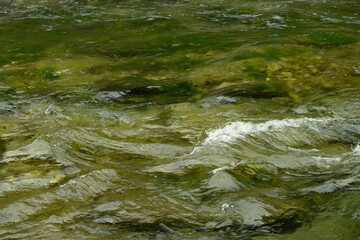 Clean Rapid River Flowing with Splashing Water
