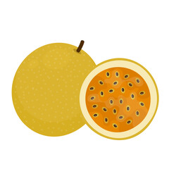 passion fruit flat vector illsutration granadilla clipart