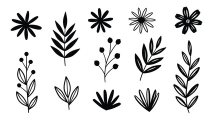 Hand-drawn botanical elements collection diverse floral and leafy designs organic shapes ideal for nature-themed projects