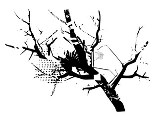 Obraz premium Tree Branches Entangle Rope in Forest