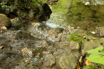 Tranquil Mountain Stream Flowing Over Rocks