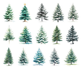 Obraz premium Diverse snowy evergreen trees illustration.