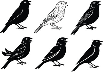 Singing bird silhouette, black vector illustration, stylized animal design, side profile pose, tropical wildlife art, open beak motion, decorative feathers