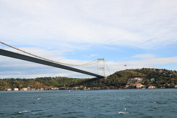 The Bridge That Connects Dreams